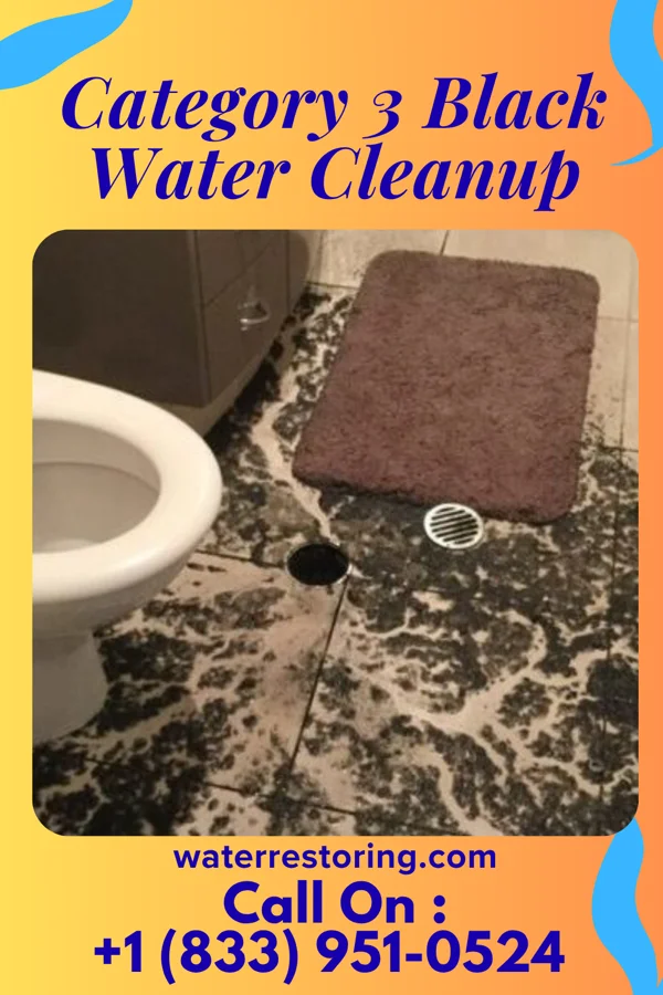 Category 3 Black Water Cleanup in Wasco, OR